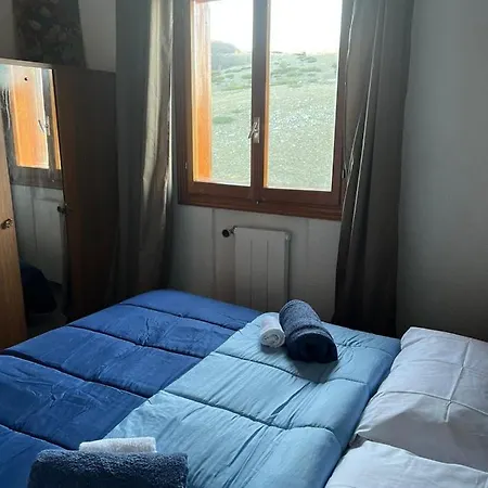 Nic Snow House
