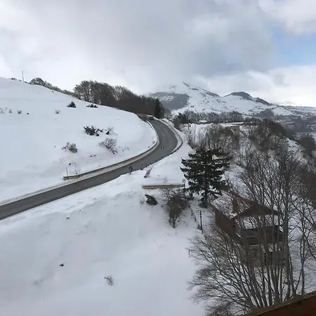 Nic Snow House *